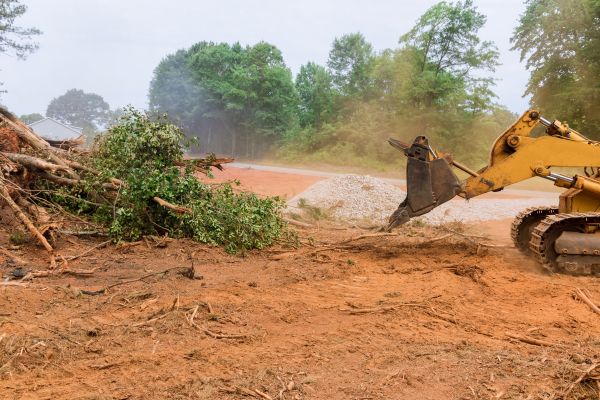 Forestry Mulching Service in Tacoma