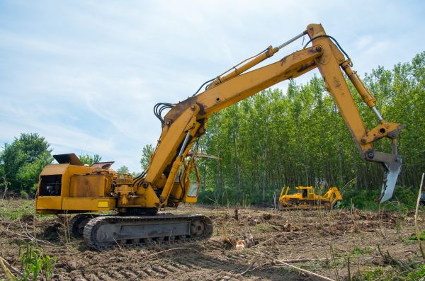 Farm Clearing in Tacoma