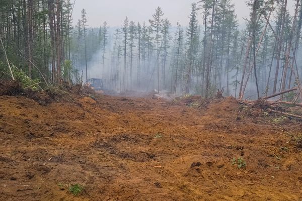 Hill Clearing in Tacoma