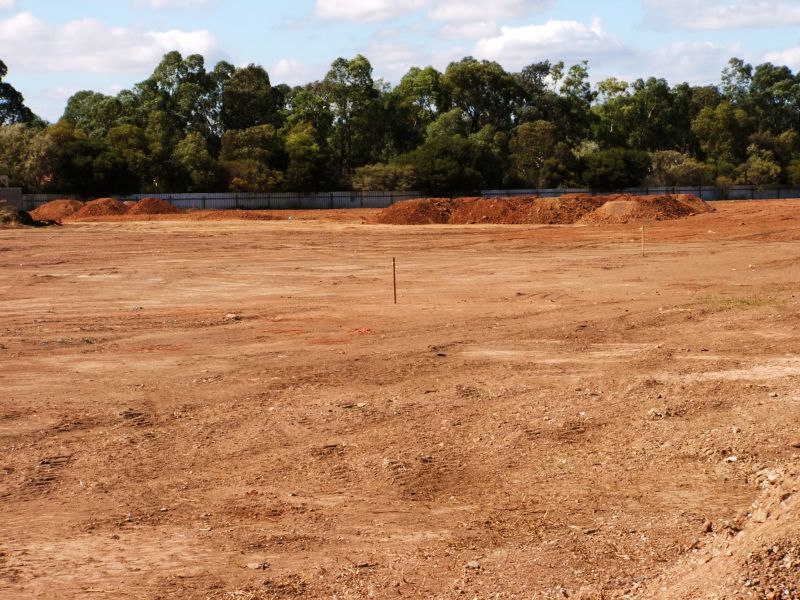 Summer Clearing Operations