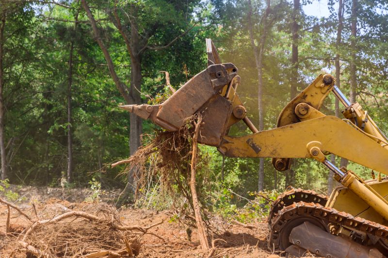 Land Clearing Machinery in Action